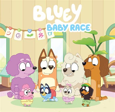 Bluey: Baby Race by Bluey - Penguin Books New Zealand