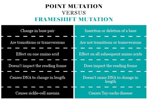 POINT MUTATION VERSUS FRAMESHIFT MUTATION – KnowsWhy.com