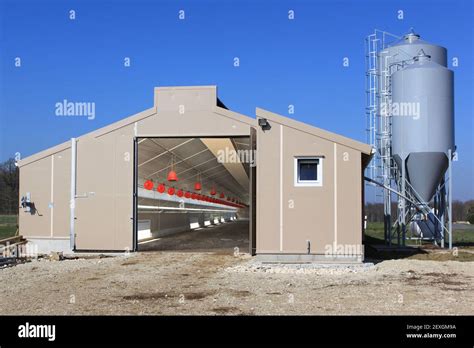 Shed for poultry farm Stock Photo - Alamy