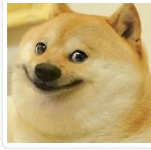 Smiling doge Blank Template - Imgflip