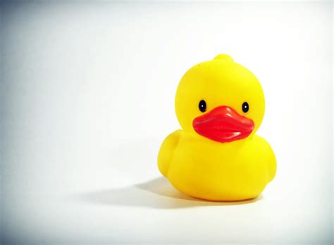 Yellow Duck Toy on White Surface · Free Stock Photo