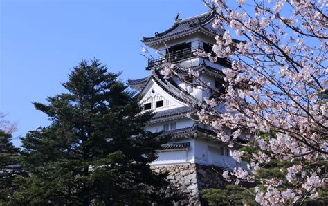 Kochi Castle | Travel Japan - Japan National Tourism Organization ...