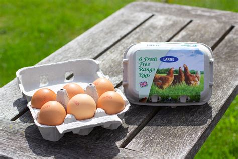 6 Fresh Free Range Eggs - F. Doncaster