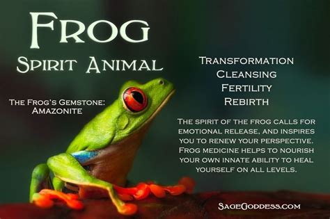 Frog Spirit Guide … | Spirit guides, Animal spirit guides, Animal totem ...