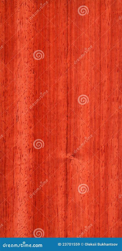 Pterocarpus (wood texture) stock image. Image of sawing - 23701559