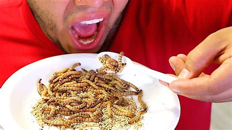 I Dare You ( Eating Live Worms ) - YouTube