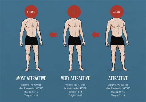 Different body fat percentages male - primomumu