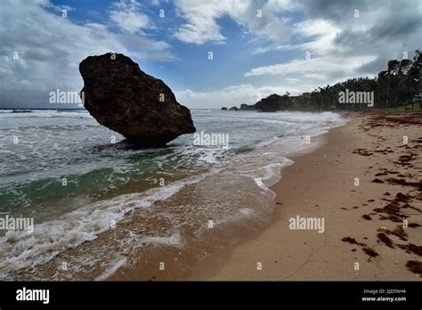 The rocks formation on the beach of Bathsheba, East coast of island ...