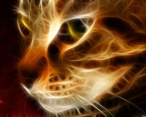 🔥 [50+] 3D Cat Wallpapers for Computer | WallpaperSafari