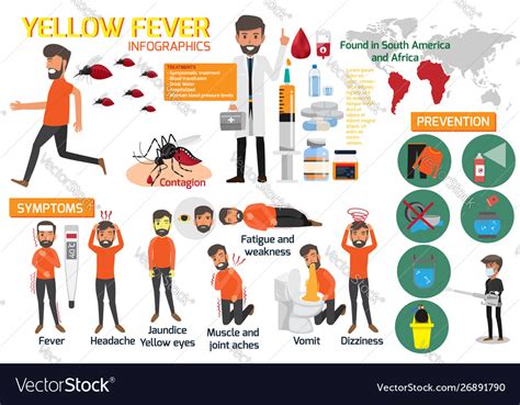 Yellow fever infographic elements symptoms Vector Image