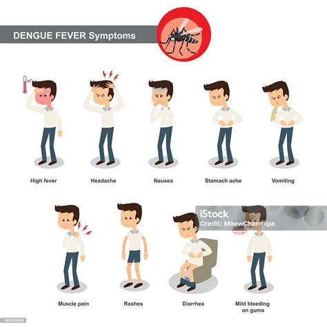 Dengue Symptoms Stock Illustration - Download Image Now - iStock