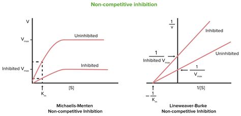 Enzyme Inhibition | Concise Medical Knowledge