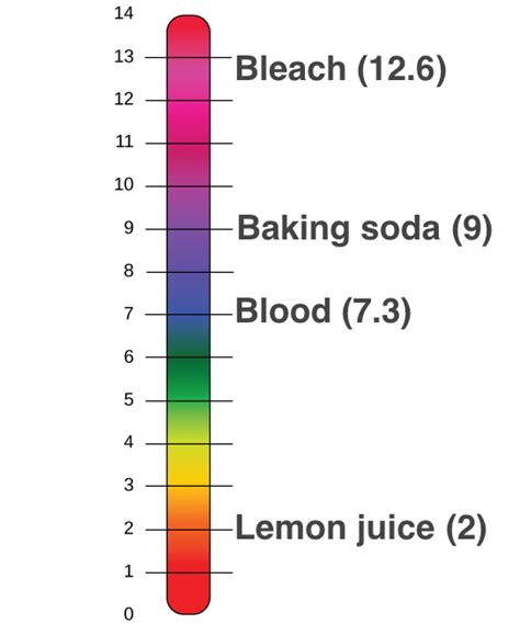 Ph Scale Acids And Bases