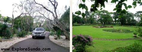 Bogor Botanical Garden | The Best Park for Picnic and Learning Botany