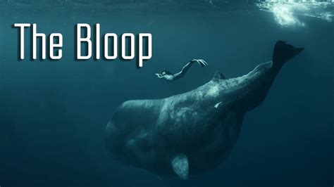 The Bloop Wallpapers - Wallpaper Cave