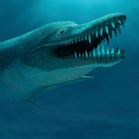 Pliosaurus rossicus by Andrey Atuchin #prehistoriccreatures Pliosaurus ...