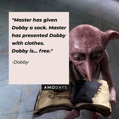 38 Dobby Quotes to Remind Us of Our Forever-Treasured Free Elf from ...