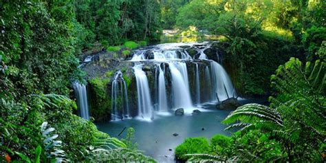 Atherton Tablelands - Tropic Days