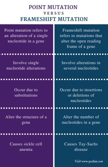 Difference Between Point Mutation and Frameshift Mutation | Definition ...