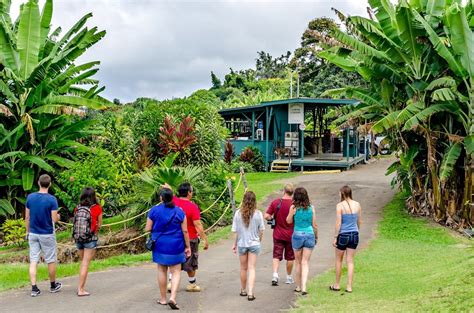 BIG LIST of Kona Coffee Tours on the Big Island (2024)