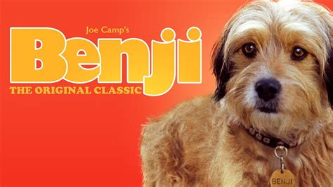 Benji The Dog Breed