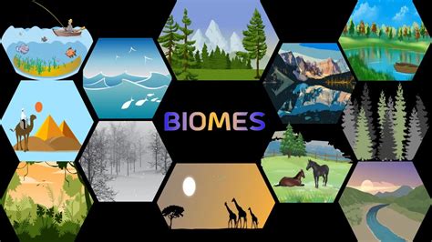 Biome And Its Types: Uncover The Hidden Secrets Of Earth's 7 Essential ...