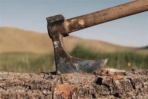 9 Types of Axes for Survival: How to Choose the Best (Uses + Photos ...