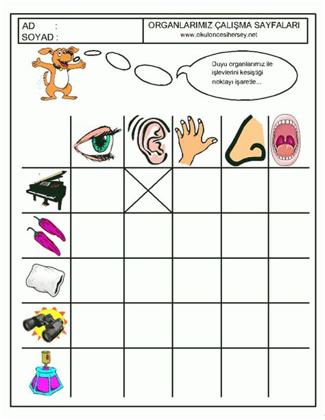 Five senses worksheet for kids | Crafts and Worksheets for Preschool ...