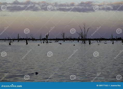 Yarrawonga stock image. Image of sunset, lake, mulwala - 58977165