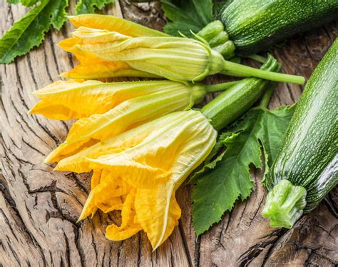 Zucchini flowers: properties and how to prepare them