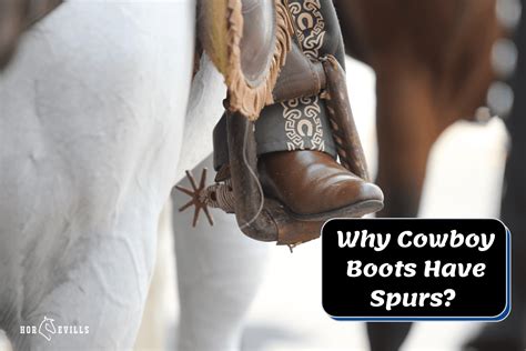 Why Cowboy Boots Have Spurs? [Detailed Horse Guide]