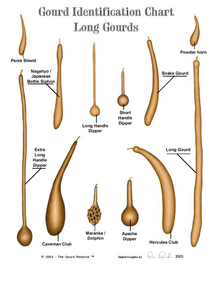 Gourd ID Chart – Gentry Gourds