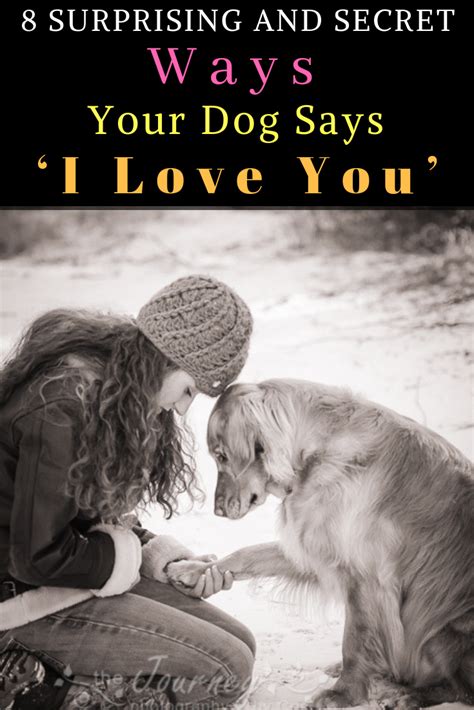 8 Surprising And Secret Ways Your Dog Says ‘I Love You’ | Say i love ...