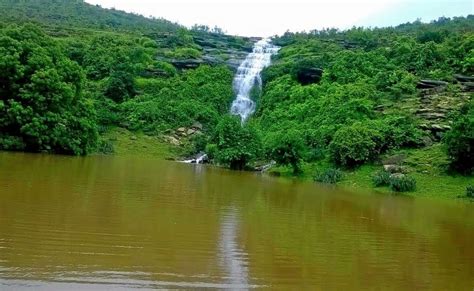 List of Popular Wildlife Sanctuaries in Bihar - meraapnabihar