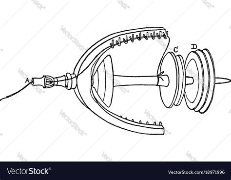 Diagram of a spindle the spindle proper is simply Vector Image