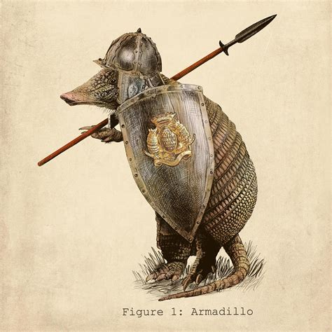 Armadillo Drawing by Eric Fan