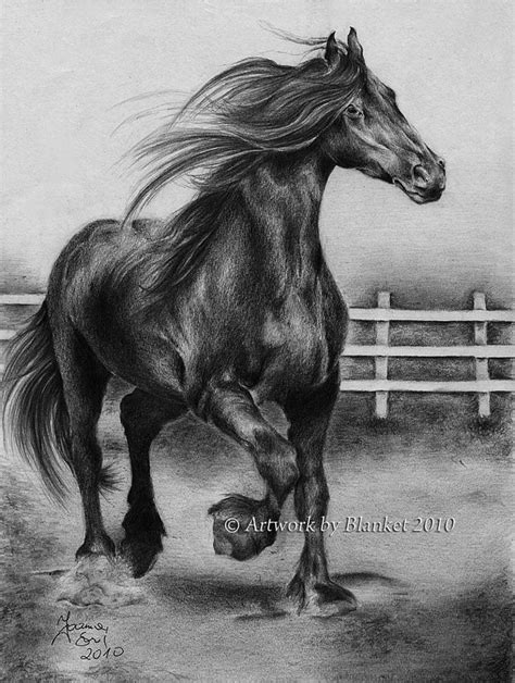 Black Horse Drawing by Blanket Joanna