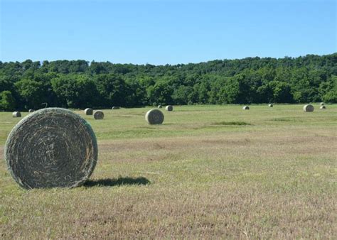 Glenn Selk: Storing Large Round Bales | Drovers