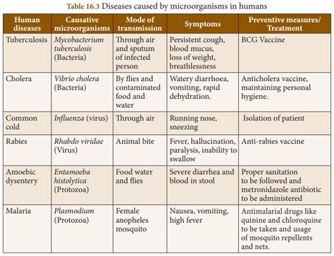 Samacheer Kalvi 8th Science Books Microorganisms