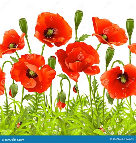 Red Poppy. Vector Seamless Horizontal Border Stock Vector ...