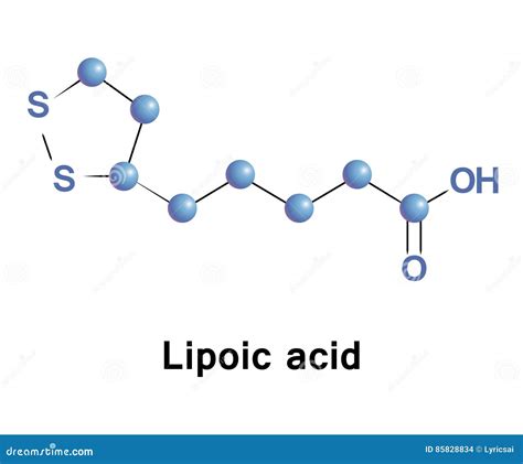 Lipoic acid antioxidant stock vector. Illustration of acid - 85828834