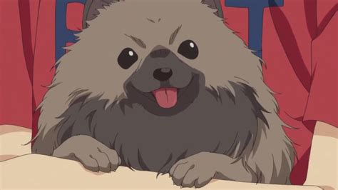 Top 50 Best Anime Dogs [Most popular of all time]