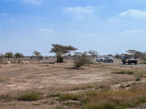 7 things to do at Sharjah Safari Park | Time Out Sharjah