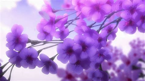 anime flowers tokyo ravens gif | WiffleGif