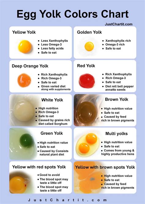 Egg Yolk Color Chart - What Color Safe to eat