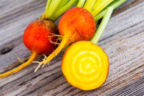 Yellow Beets: How To Cultivation & Care In The Garden - Gardender