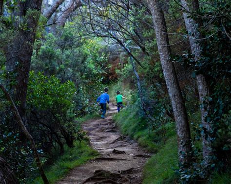 How To Experience The Kauai Grand Canyon At Waimea Canyon State Park ...