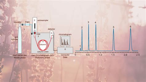 Gas Chromatography Solutions – Era Analytics