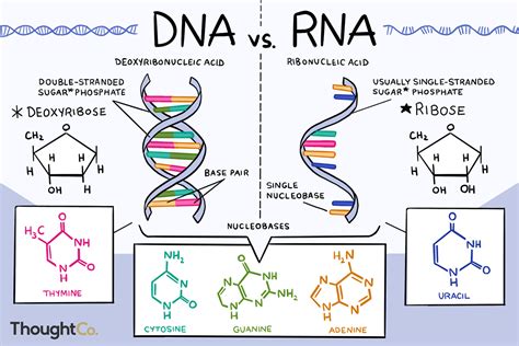 DNA vs RNA on SVA Portfolios