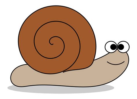 Snail Clipart Pictures – Clipartix